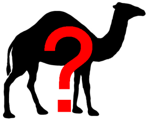 camel-outline-2